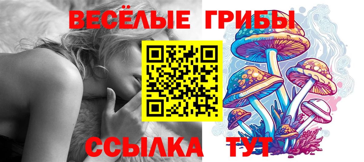 Псилоцибиновые грибы прущие грибы Подольск